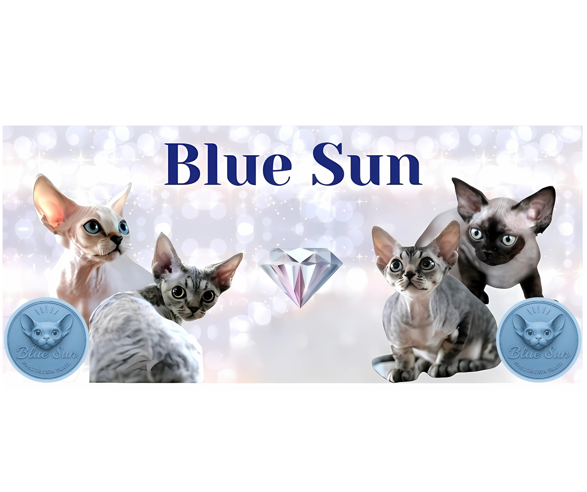 Slideshow monety.png